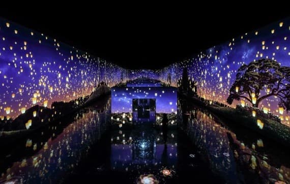 Traditional Indian Ayurvedic Herbs